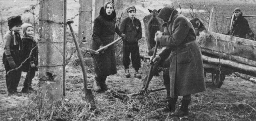 холокост Миниатюра