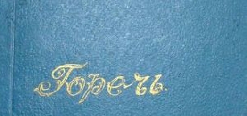 Главное изображение записи блога - 96 Миниатюра